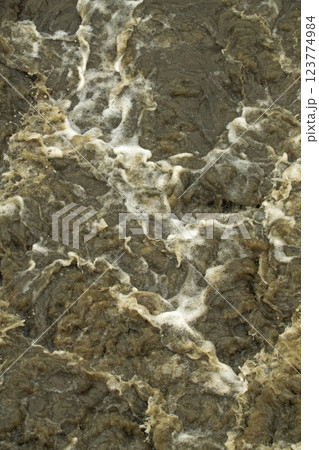 Local flood waters in Brisbane caused by Cyclone Alfred. 123774984