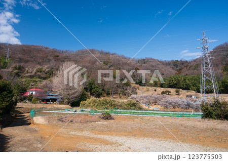 のどかな里山の風景 あわいのもり 鶴巻温泉 北矢名 のどかな里山の風景 あわいのもり 鶴巻温泉 北矢名 123775503