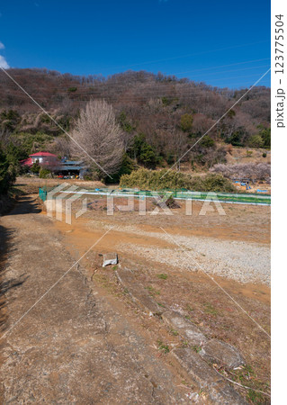 のどかな里山の風景 あわいのもり 鶴巻温泉 北矢名 のどかな里山の風景 あわいのもり 鶴巻温泉 北矢名 123775504