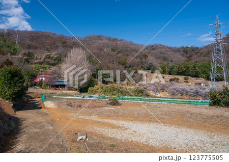 のどかな里山の風景　あわいのもり　鶴巻温泉　北矢名　 123775505