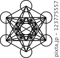 メタトロンキューブ, Metatron's Cube, 神聖幾何学, Sacred Geometry 123775557