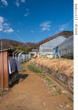 農村風景 野菜直売所 鶴巻温泉 北矢名 農村風景 野菜直売所 鶴巻温泉 北矢名 123775609