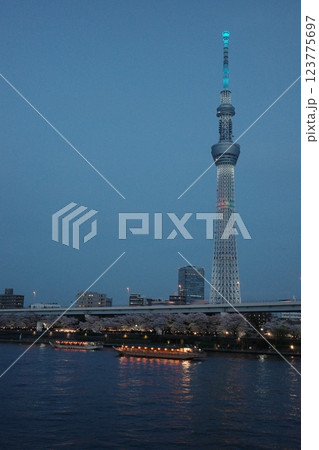 4月の夕暮れ時のスカイツリー 4月の夕暮れ時のスカイツリー 123775697