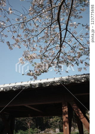 桜と古き良き日本の屋根 123775698