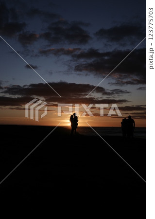 「ニュージーランド」夕暮れのロマンティックなカップル 「ニュージーランド」夕暮れのロマンティックなカップル 123775703