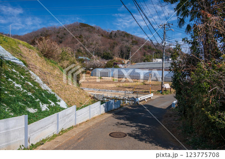 長閑な農村風景 ノスタルジックな田舎道 鶴巻温泉 北矢名 長閑な農村風景 ノスタルジックな田舎道 鶴巻温泉 北矢名 123775708