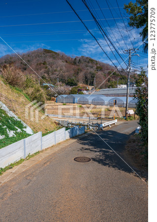 長閑な農村風景 ノスタルジックな田舎道 鶴巻温泉 北矢名 長閑な農村風景 ノスタルジックな田舎道 鶴巻温泉 北矢名 123775709