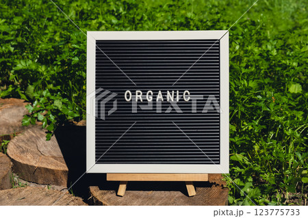Letter board with text ORGANIC on background of garden bed with green herb parsley. Organic farming, produce local vegetables concept. Supporting local farmers 123775733