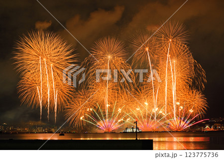 かごしま錦江湾サマーナイト花火 123775736