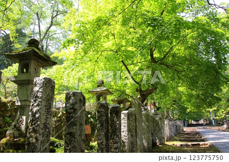谷汲山華厳寺・3 123775750