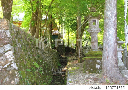 谷汲山華厳寺・8 123775755