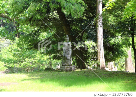 谷汲山華厳寺・13 谷汲山華厳寺・13 123775760