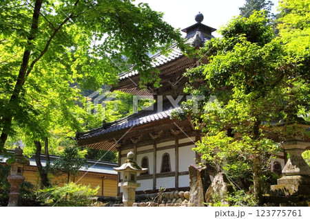 谷汲山華厳寺・14 谷汲山華厳寺・14 123775761