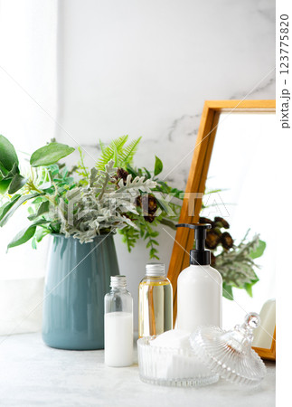 ミラーとグリーンと基礎化粧品の朝のお手入れイメージ 123775820