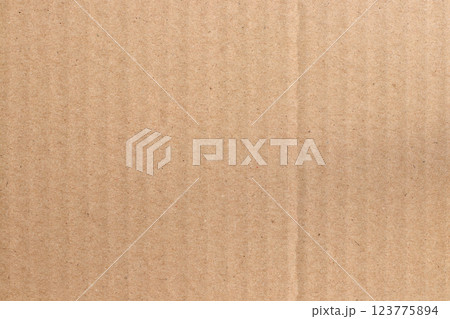 Brown cardboard sheet abstract background, texture of recycle paper box in old vintage pattern for design art work. 123775894