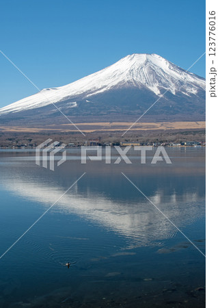 青空の下、山中湖から望む富士山 青空の下、山中湖から望む富士山 123776016