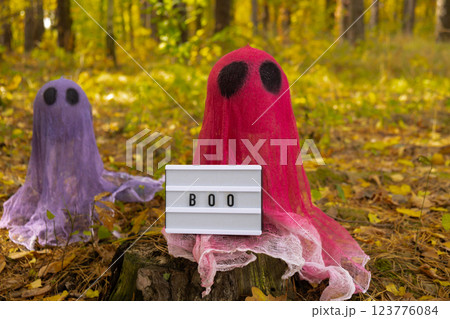 Halloween holiday concept. Handmade colorful ghosts made from bandages and glue in autumn forest background. Children's art project. DIY Halloween holiday concept. Handmade colorful ghosts made from bandages and glue in autumn forest background. Children's art project. DIY 123776084