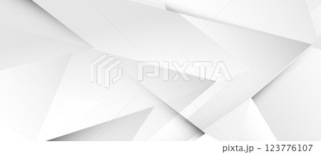 Minimalist White Geometric Abstract Background 123776107