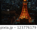 東京タワーの夜景 123776179