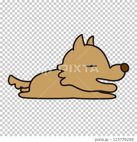 A lazy, not scary wolf lying down 123776289