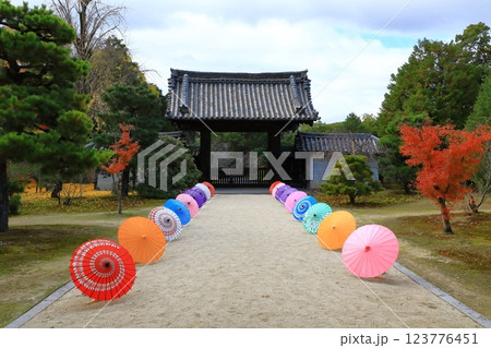 随心院　紅葉風景 123776451