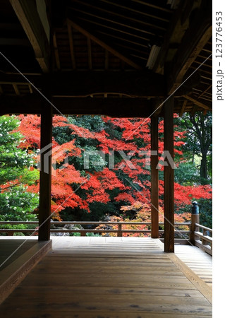 随心院　紅葉風景 123776453