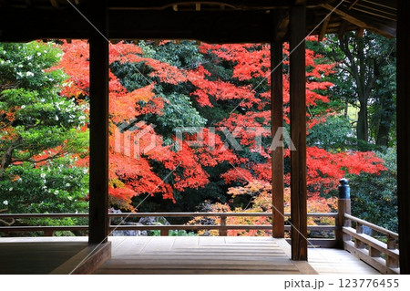 随心院　紅葉風景 123776455