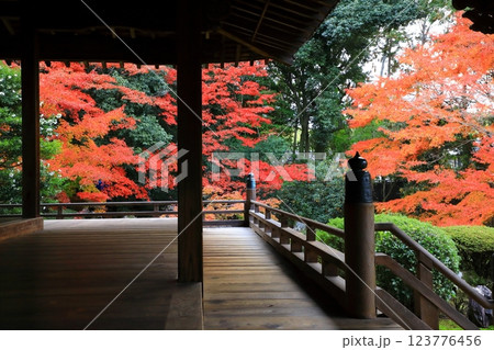 随心院　紅葉風景 123776456