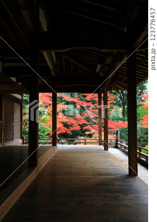 随心院　紅葉風景 123776457
