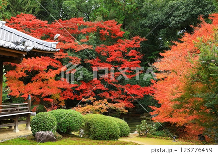 随心院　紅葉風景 123776459