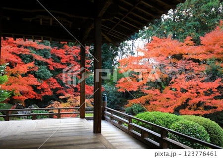 随心院　紅葉風景 123776461