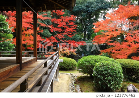 随心院　紅葉風景 123776462