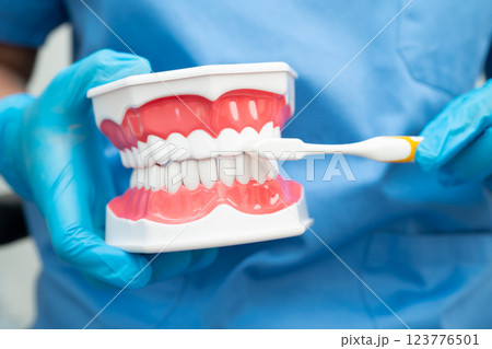 Doctor clean teeth denture with toothbrush for teach patient and dentist studying about dentistry. Doctor clean teeth denture with toothbrush for teach patient and dentist studying about dentistry. 123776501
