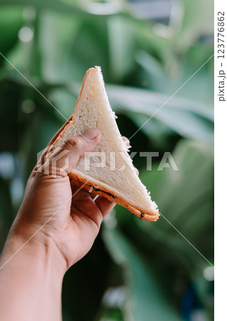 Choco Crunch Sandwich in Hand 123776862