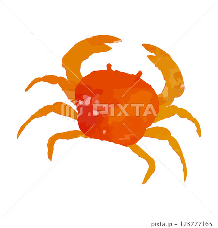 赤いカニのベクターイラスト 版画、スタンプ、コラージュ、水彩、手描き風 赤いカニのベクターイラスト 版画、スタンプ、コラージュ、水彩、手描き風 123777165
