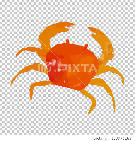 赤いカニのベクターイラスト 版画、スタンプ、コラージュ、水彩、手描き風 赤いカニのベクターイラスト 版画、スタンプ、コラージュ、水彩、手描き風 123777165