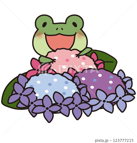 カラフルな紫陽花と蛙 123777215