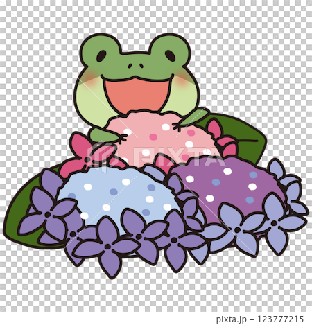 カラフルな紫陽花と蛙 123777215