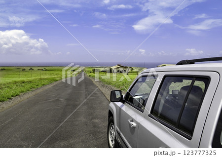 アメリカ・ハワイ島のドライブウェイ 123777325