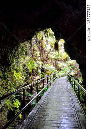 ラバチューブ・火山から生まれた洞窟 123777327