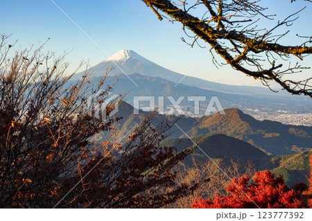 絶景　雪がともった富士山 123777392