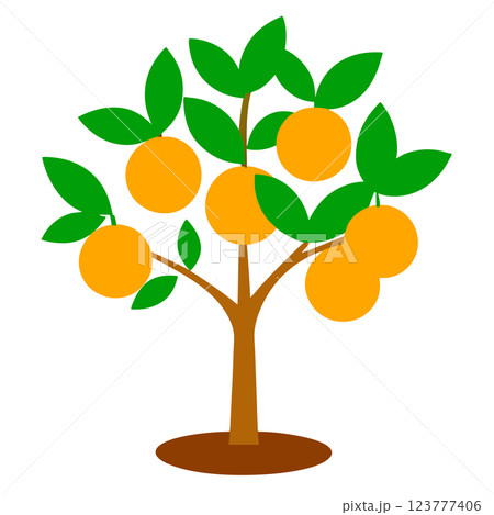 Orange Tree Icon Minimalist Citrus Illustration for Eco Friendly Branding and Organic Product Design 123777406