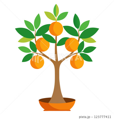 Orange Tree Icon Minimalist Citrus Illustration for Eco Friendly Branding and Organic Product Design 123777411