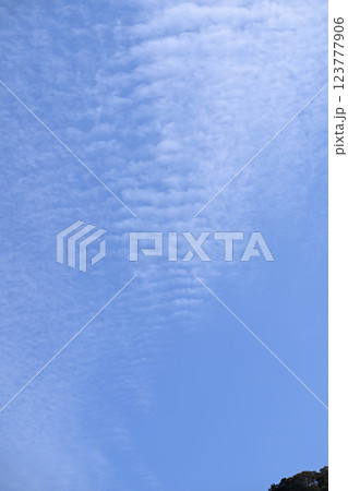 早春の青空と雲 123777906