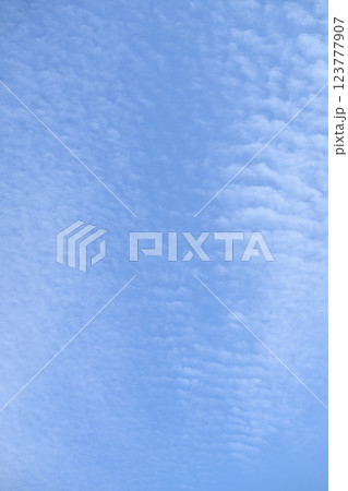 早春の青空と雲 123777907