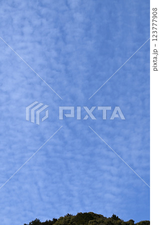 早春の青空と雲 123777908