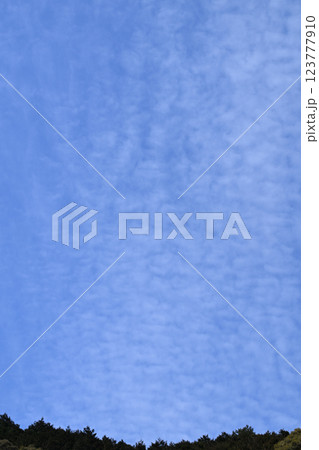 早春の青空と雲 123777910