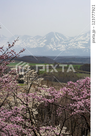 北海道深山峠からの風景 北海道深山峠からの風景 123777921