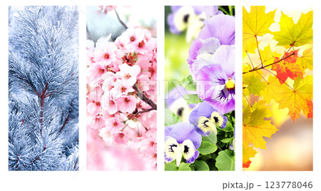 Set of vertical nature banners. Four season of year. Each one features scene of nature, from the gentle snowfall of winter to the vibrant leaves of summer. Perfect for showcasing the changing seasons 123778046