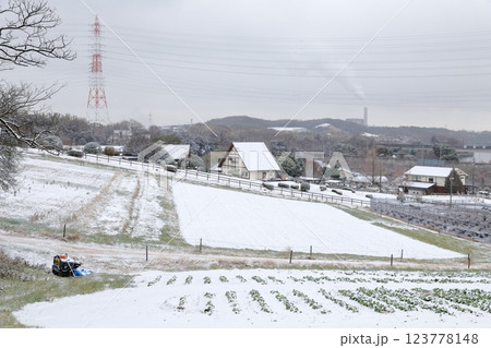 雪の積もった白銀の牧場（愛知牧場　愛知県 日進市）  123778148